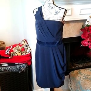 The Limited Ladies Dress Size 10